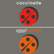 COCCINELLE COCCIMARKET